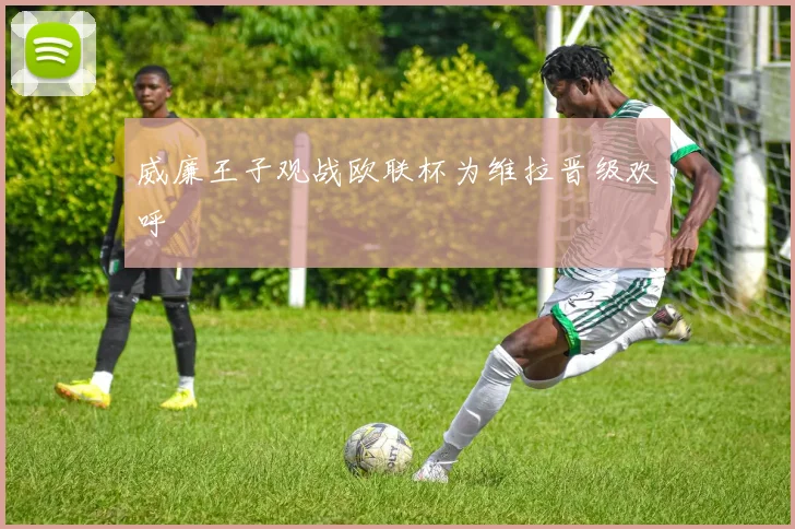 威廉王子观战欧联杯为维拉晋级欢呼