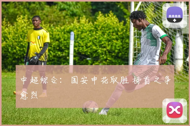 中超综合：国安申花取胜 榜首之争愈烈