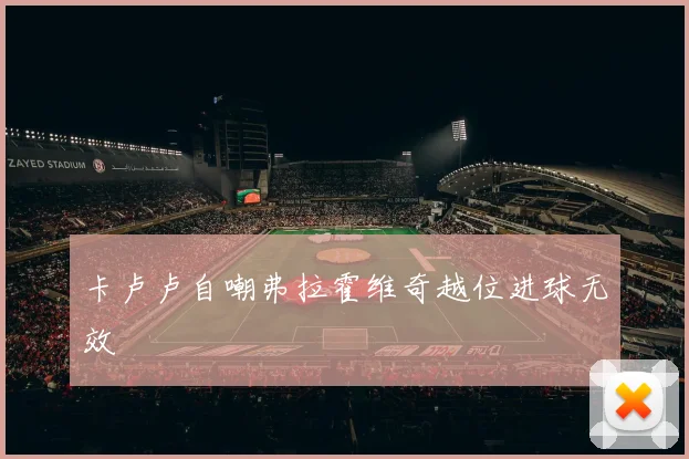 卡卢卢自嘲弗拉霍维奇越位进球无效